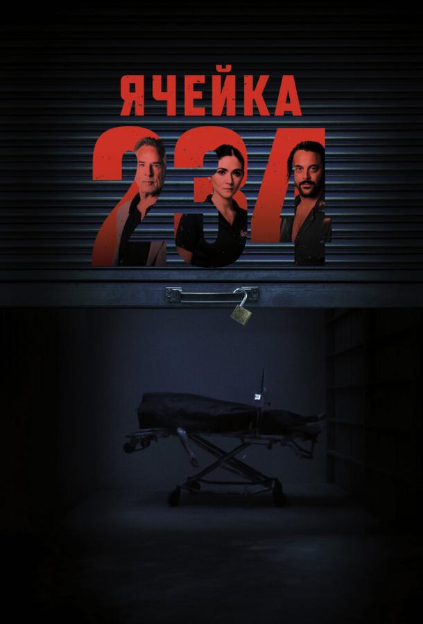 Ячейка 234 (2023)